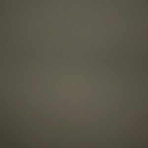 Meet your Posher, Mikey